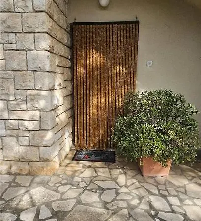 Passiflora דירה *